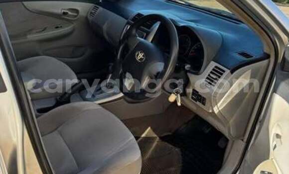 Buy Used Toyota Axio Other Car in Blantyre in Malawi Buy Used Toyota Axio Other Car in Blantyre in Malawi