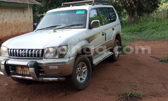 Buy Used Toyota Prado White Car in Lilongwe in Malawi Buy Used Toyota Prado White Car in Lilongwe in Malawi
