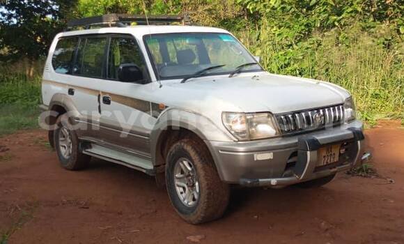 Buy Used Toyota Prado White Car in Lilongwe in Malawi Buy Used Toyota Prado White Car in Lilongwe in Malawi