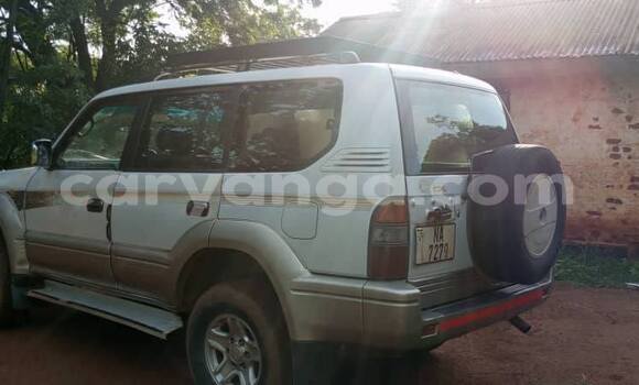 Buy Used Toyota Prado White Car in Lilongwe in Malawi Buy Used Toyota Prado White Car in Lilongwe in Malawi
