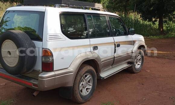 Buy Used Toyota Prado White Car in Lilongwe in Malawi Buy Used Toyota Prado White Car in Lilongwe in Malawi