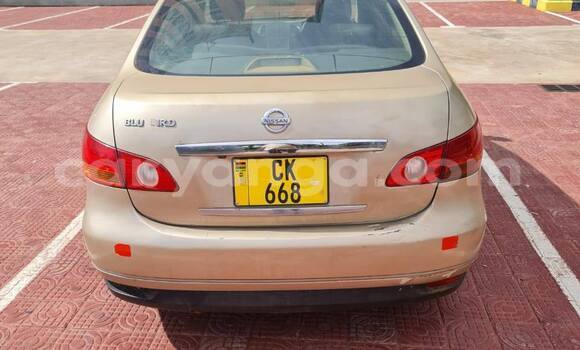 Buy Used Nissan Bluebird Other Car in Lilongwe in Malawi Buy Used Nissan Bluebird Other Car in Lilongwe in Malawi