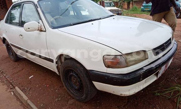 Buy Used Toyota Corolla White Car in Lilongwe in Malawi Buy Used Toyota Corolla White Car in Lilongwe in Malawi