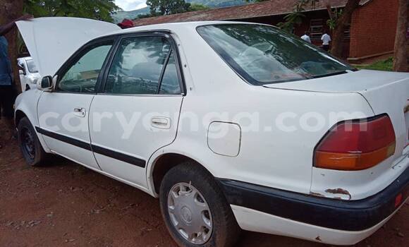 Buy Used Toyota Corolla White Car in Lilongwe in Malawi Buy Used Toyota Corolla White Car in Lilongwe in Malawi
