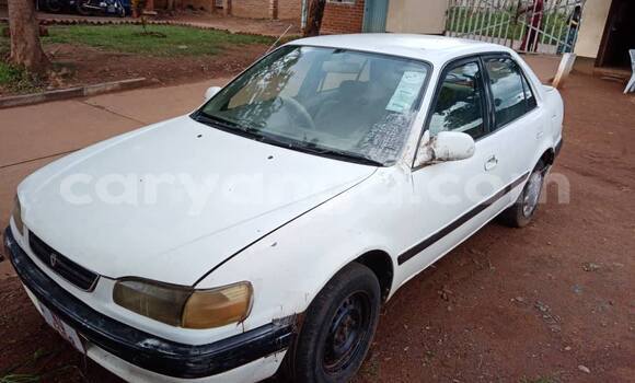 Buy Used Toyota Corolla White Car in Lilongwe in Malawi Buy Used Toyota Corolla White Car in Lilongwe in Malawi