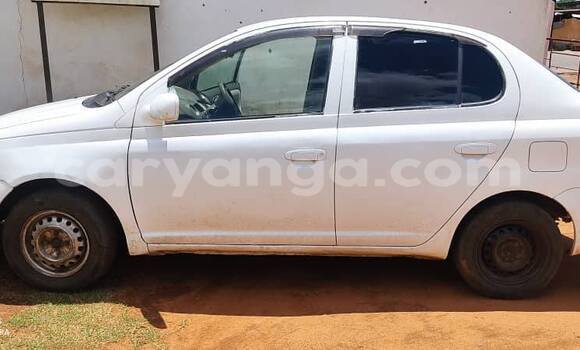 Buy Used Toyota Platz White Car in Lilongwe in Malawi Buy Used Toyota Platz White Car in Lilongwe in Malawi