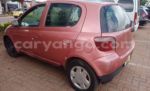 Buy Used Toyota Vitz Other Car in Lilongwe in Malawi Buy Used Toyota Vitz Other Car in Lilongwe in Malawi