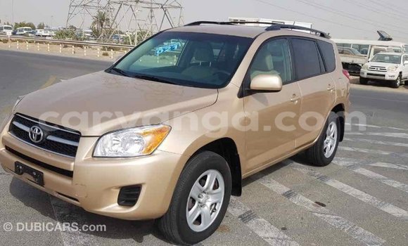 Buy Import Toyota RAV4 Other Car in Import - Dubai in Malawi Buy Import Toyota RAV4 Other Car in Import - Dubai in Malawi