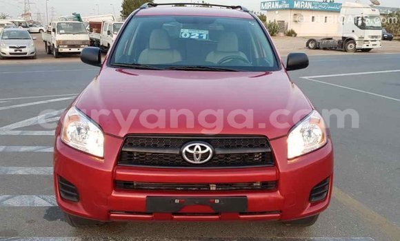 Buy Import Toyota RAV4 Red Car in Import - Dubai in Malawi Buy Import Toyota RAV4 Red Car in Import - Dubai in Malawi