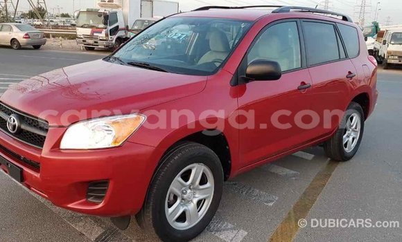 Buy Import Toyota RAV4 Red Car in Import - Dubai in Malawi Buy Import Toyota RAV4 Red Car in Import - Dubai in Malawi