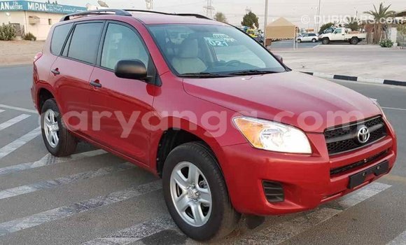 Buy Import Toyota RAV4 Red Car in Import - Dubai in Malawi Buy Import Toyota RAV4 Red Car in Import - Dubai in Malawi