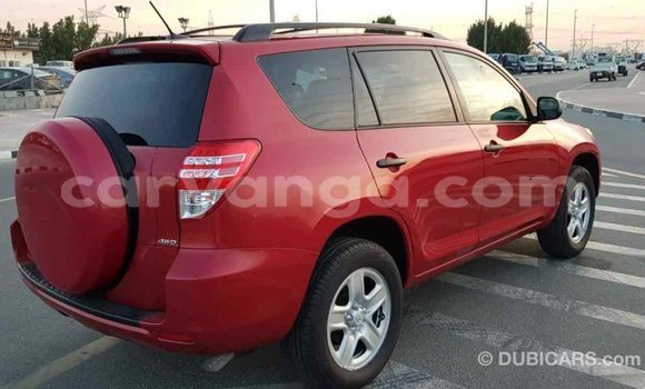 Buy Import Toyota RAV4 Red Car in Import - Dubai in Malawi Buy Import Toyota RAV4 Red Car in Import - Dubai in Malawi