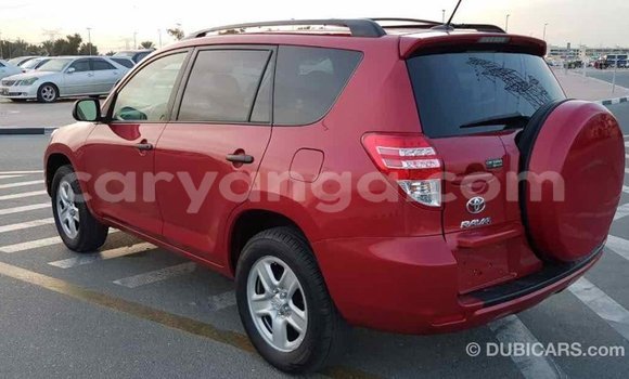 Buy Import Toyota RAV4 Red Car in Import - Dubai in Malawi Buy Import Toyota RAV4 Red Car in Import - Dubai in Malawi