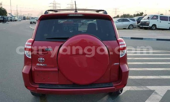 Buy Import Toyota RAV4 Red Car in Import - Dubai in Malawi Buy Import Toyota RAV4 Red Car in Import - Dubai in Malawi