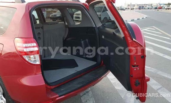 Buy Import Toyota RAV4 Red Car in Import - Dubai in Malawi Buy Import Toyota RAV4 Red Car in Import - Dubai in Malawi
