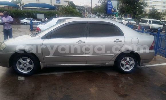 Buy Used Toyota Corolla Black Car in Limbe in Malawi Buy Used Toyota Corolla Black Car in Limbe in Malawi