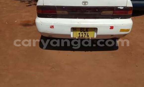 Buy Used Toyota Corolla Other Car in Lilongwe in Malawi Buy Used Toyota Corolla Other Car in Lilongwe in Malawi