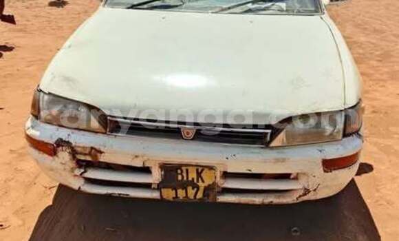 Buy Used Toyota Corolla Other Car in Lilongwe in Malawi Buy Used Toyota Corolla Other Car in Lilongwe in Malawi