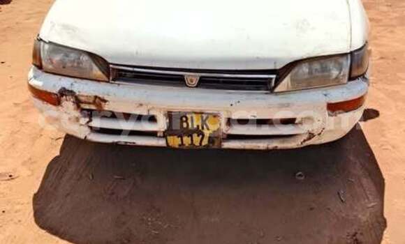 Buy Used Toyota Corolla Other Car in Lilongwe in Malawi Buy Used Toyota Corolla Other Car in Lilongwe in Malawi