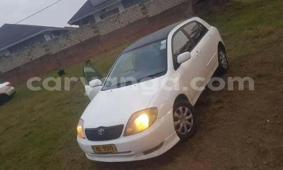 Buy Used Toyota Runx White Car in Blantyre in Malawi Buy Used Toyota Runx White Car in Blantyre in Malawi
