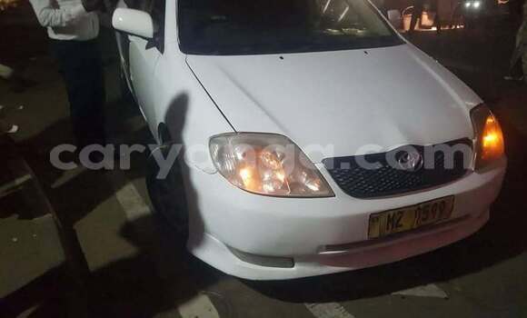 Buy Used Toyota Runx White Car in Blantyre in Malawi Buy Used Toyota Runx White Car in Blantyre in Malawi