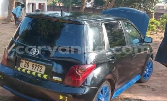 Buy Used Toyota IST Black Car in Blantyre in Malawi Buy Used Toyota IST Black Car in Blantyre in Malawi
