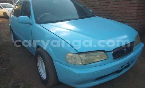 Buy Used Toyota Sprinter White Car in Blantyre in Malawi Buy Used Toyota Sprinter White Car in Blantyre in Malawi