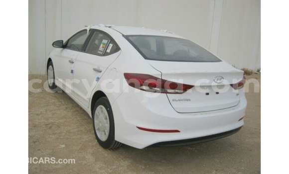 Buy Import Hyundai Elantra White Car in Import - Dubai in Malawi