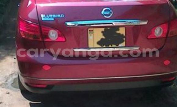 Buy Used Nissan Sunny Red Car in Limbe in Malawi Buy Used Nissan Sunny Red Car in Limbe in Malawi