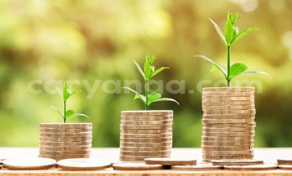 Buy Used Acura EL Blue Car in Livingstonia in Karonga