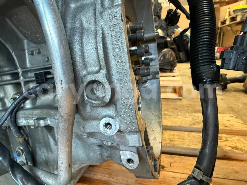 Big with watermark 6