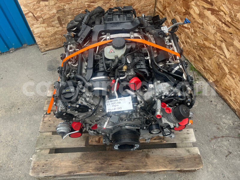 Big with watermark a