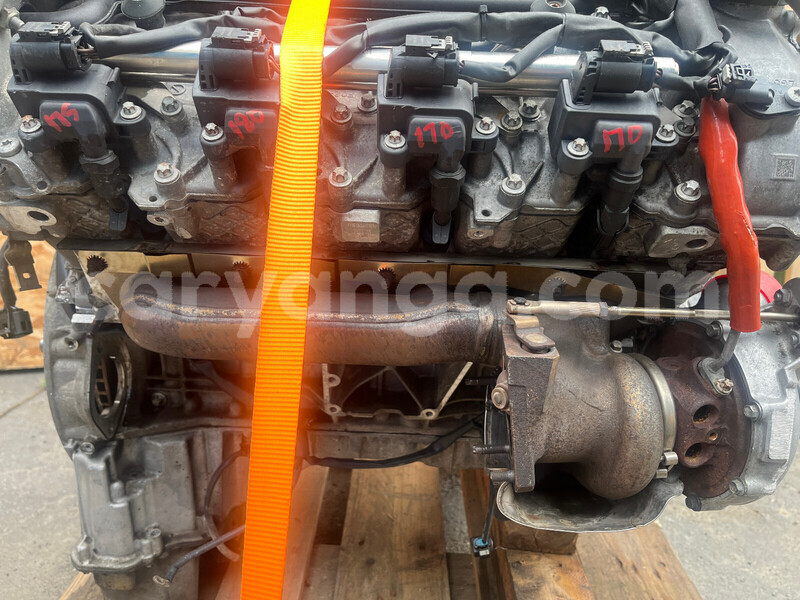 Big with watermark h