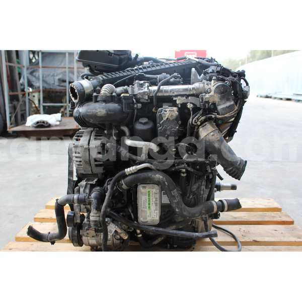 Big with watermark s l16003