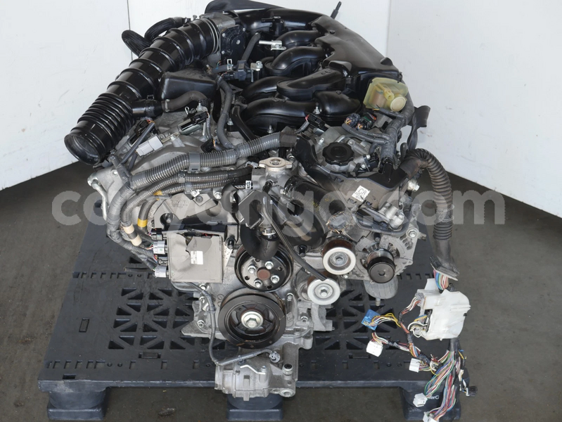 Big with watermark image a