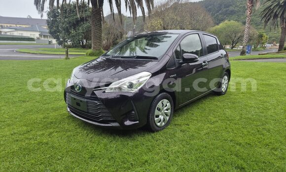 Buy Used Toyota Vitz Black Car in Lilongwe in Malawi