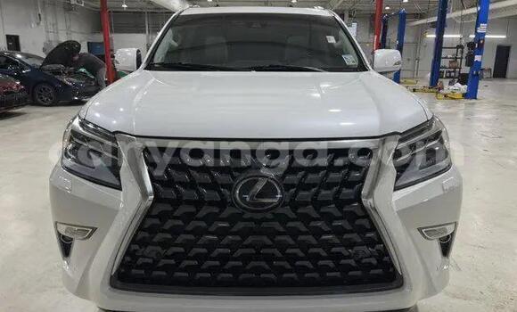 Buy Used Lexus GX White Car in Chiradzulu in Chiradzulu