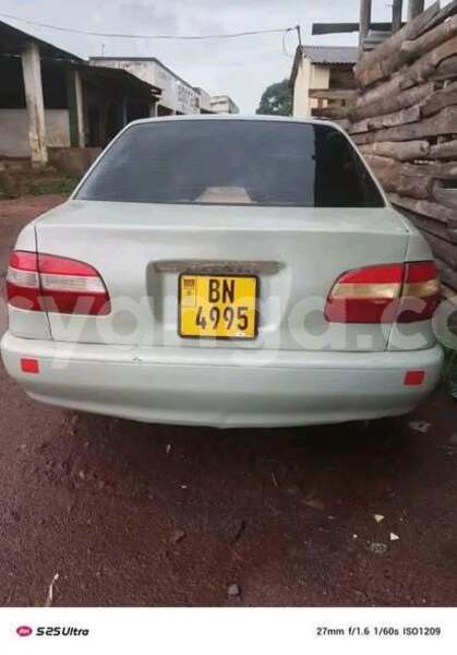 Big with watermark chana benni malawi blantyre 16072