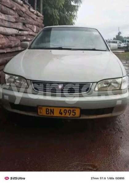 Big with watermark chana benni malawi blantyre 16072