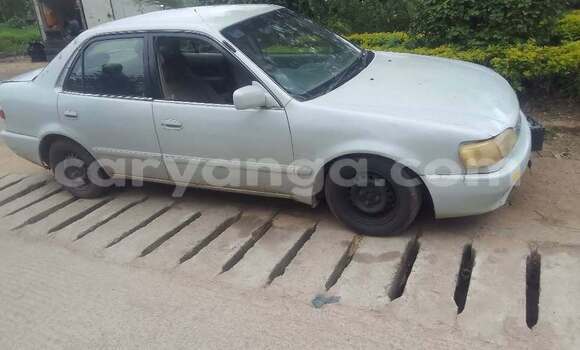 Buy Used Toyota Cressida White Car in Lilongwe in Malawi Buy Used Toyota Cressida White Car in Lilongwe in Malawi