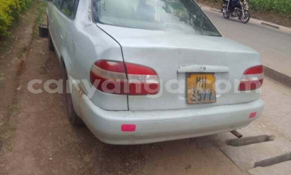 Buy Used Toyota Cressida White Car in Lilongwe in Malawi Buy Used Toyota Cressida White Car in Lilongwe in Malawi