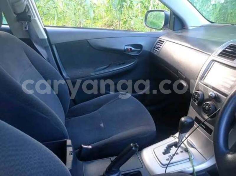 Big with watermark fiat 127 malawi blantyre 16161