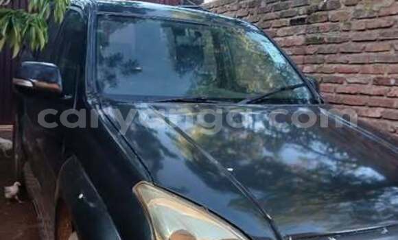 Buy Used Toyota Prado Other Car in Blantyre in Malawi Buy Used Toyota Prado Other Car in Blantyre in Malawi