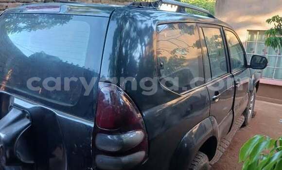 Buy Used Toyota Prado Other Car in Blantyre in Malawi Buy Used Toyota Prado Other Car in Blantyre in Malawi