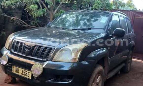 Buy Used Toyota Prado Other Car in Blantyre in Malawi Buy Used Toyota Prado Other Car in Blantyre in Malawi