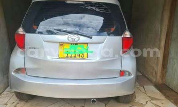 Buy Used Toyota Ractis Other Car in Blantyre in Malawi Buy Used Toyota Ractis Other Car in Blantyre in Malawi