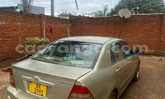 Buy Used Toyota Corolla Other Car in Blantyre in Malawi Buy Used Toyota Corolla Other Car in Blantyre in Malawi