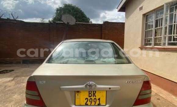 Buy Used Toyota Corolla Other Car in Blantyre in Malawi Buy Used Toyota Corolla Other Car in Blantyre in Malawi