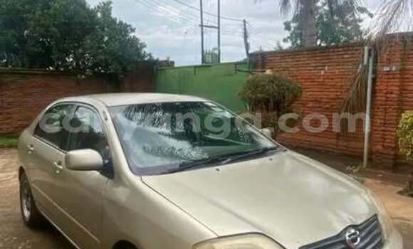 Buy Used Toyota Corolla Other Car in Lilongwe in Malawi Buy Used Toyota Corolla Other Car in Lilongwe in Malawi