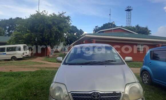 Acheter Occasion Voiture Toyota Corolla Autre à Lilongwe, Malawi Acheter Occasion Voiture Toyota Corolla Autre à Lilongwe, Malawi